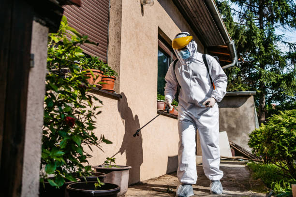 Best Pest Control Near Me  in Islandia, NY