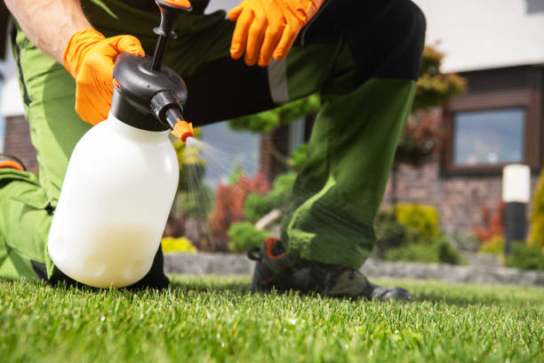 Best Residential Pest Control  in Islandia, NY