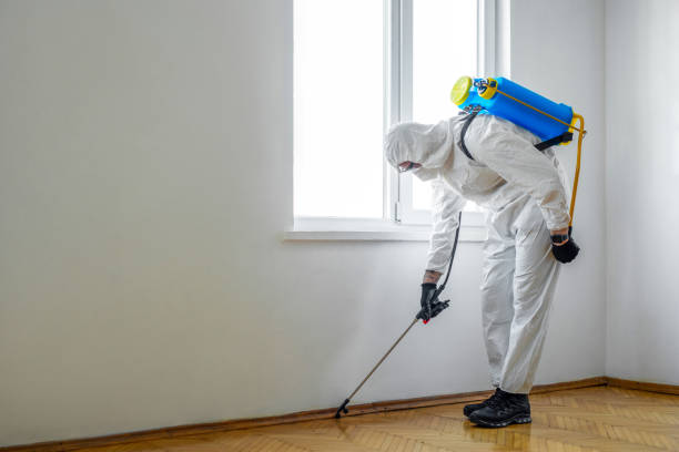 Best Mosquito Control Services  in Islandia, NY