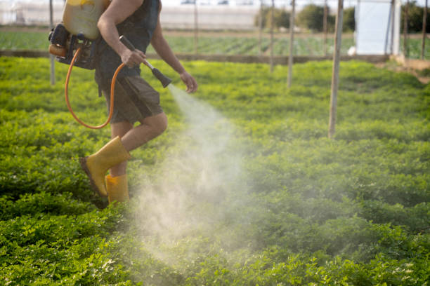 Best Best Pest Control Companies  in Islandia, NY