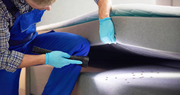 Best Affordable Pest Control Services  in Islandia, NY