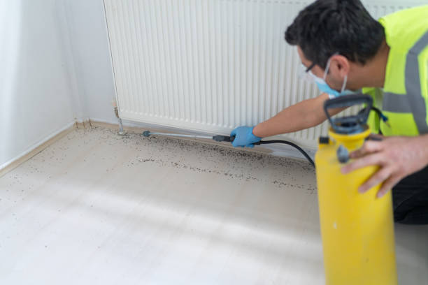 Best Ant Control Services  in Islandia, NY